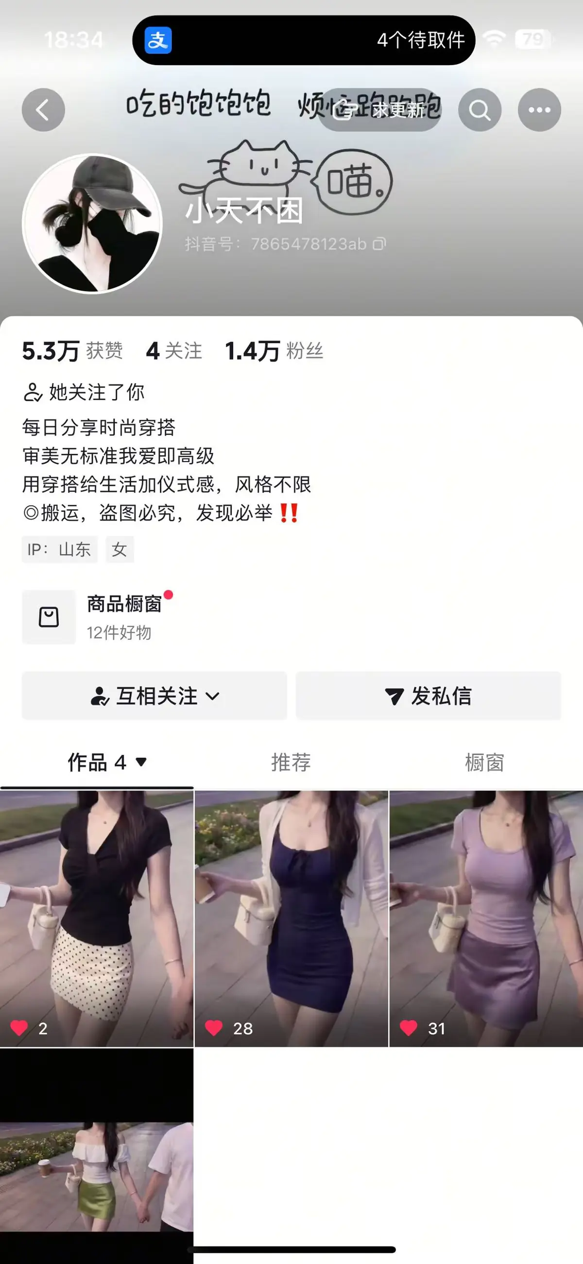 项目案例 04