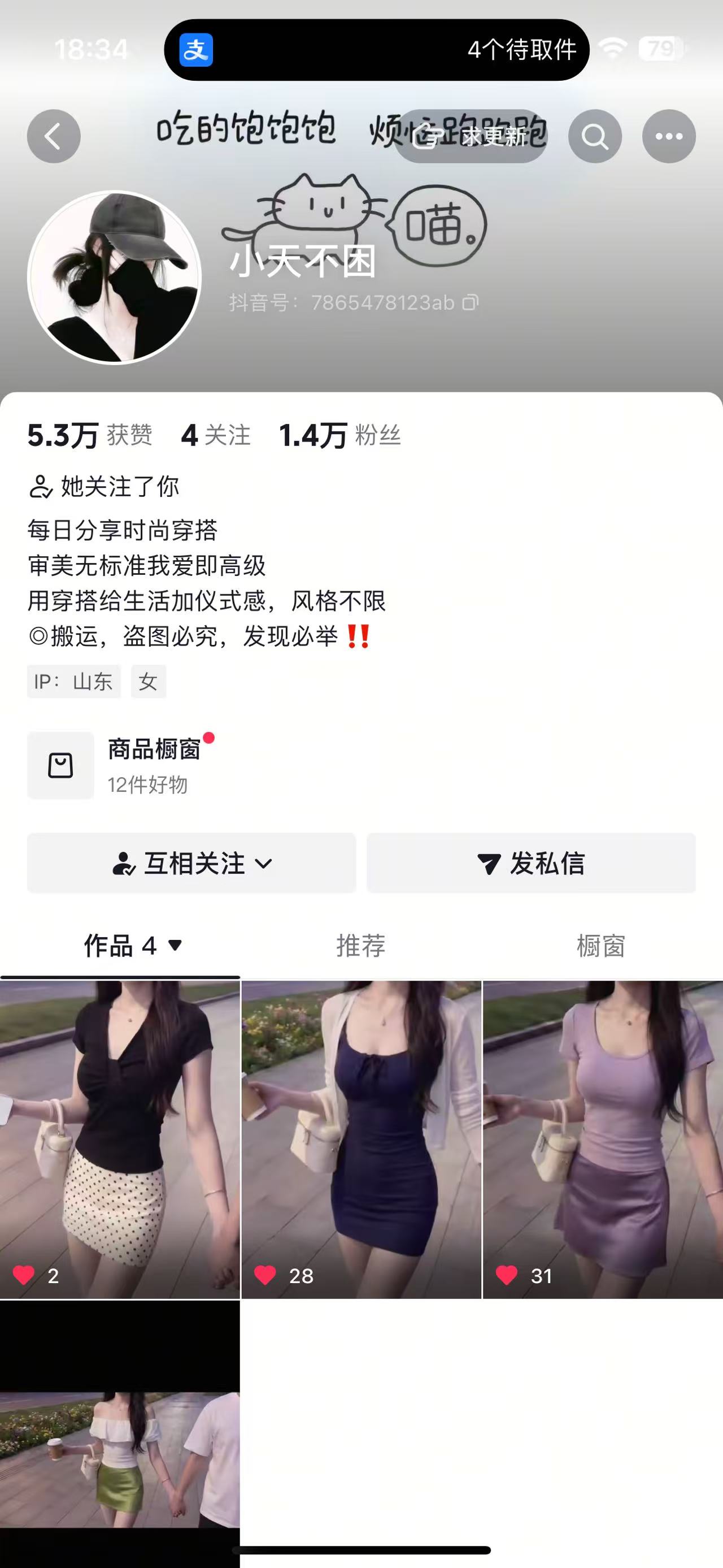 项目案例 04